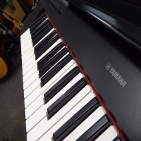 <p>61-key, touch sensitive keyboard from this well-reputed manufacturer</p><p>2 high quality piano samples, 2 Electric Pianos,&nbsp; 2 Organs, 2 Harpischords, Vibes and Strings.</p><p>Dual voice function allows two sounds to play simultaneously.</p><p>Built-in metronome and recorder function.</p><p></p>