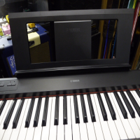 <p>61-key, touch sensitive keyboard from this well-reputed manufacturer</p><p>2 high quality piano samples, 2 Electric Pianos,&nbsp; 2 Organs, 2 Harpischords, Vibes and Strings.</p><p>Dual voice function allows two sounds to play simultaneously.</p><p>Built-in metronome and recorder function.</p><p></p>