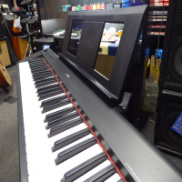 <p>61-key, touch sensitive keyboard from this well-reputed manufacturer</p><p>2 high quality piano samples, 2 Electric Pianos,&nbsp; 2 Organs, 2 Harpischords, Vibes and Strings.</p><p>Dual voice function allows two sounds to play simultaneously.</p><p>Built-in metronome and recorder function.</p><p></p>