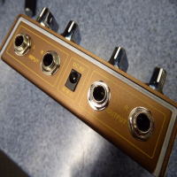 Dual channel modulation pedal in great condition.