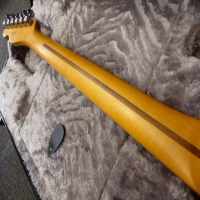 <p>Fender Ultra II Telecaster in mint condition with original hard case.</p>