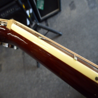 Affordable 12-string acoustic guitar in good condition.