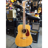 Affordable 12-string acoustic guitar in good condition.