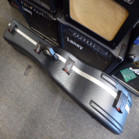 High quality acoustic hard case in near mint condition.