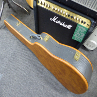 <p>Thin-bodied electro-acoustic in mint condition with hard case.</p><p>APX600 street price: &pound;299</p><p>APX hard case street price: &pound;115</p>