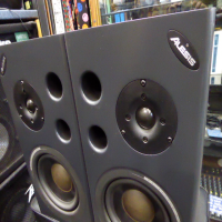 <p>Great two-way active nearfield monitors.</p><p>Ideal for home project studio applications.</p><p>6.25''bass driver and soft dome tweeter.</p><p>Combi socket inputs accept jack or XLR.</p><p></p>