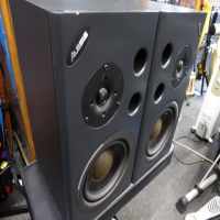 <p>Great two-way active nearfield monitors.</p><p>Ideal for home project studio applications.</p><p>6.25''bass driver and soft dome tweeter.</p><p>Combi socket inputs accept jack or XLR.</p><p></p>