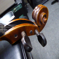 <p>A decent student instrument.</p><p>Lovely finish with a striking wood grain.</p><p>Comes with a quality case which is a step up from basic models.</p><br />