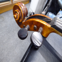 <p>A decent student instrument.</p><p>Lovely finish with a striking wood grain.</p><p>Comes with a quality case which is a step up from basic models.</p><br />