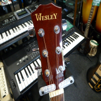 <p>Decent entry-level acoustic guitar with soundhole pickup installed.</p><p>Good condition.</p>