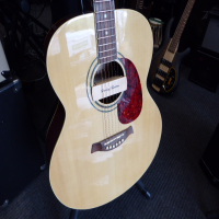 <p>Decent entry-level acoustic guitar with soundhole pickup installed.</p><p>Good condition.</p>