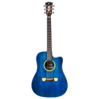 <p>Gorgeous-looking electro-acoustic with great tone and playability!</p>