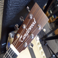 Lovely travel-size acoustic guitar in excellent condition with original padded bag.