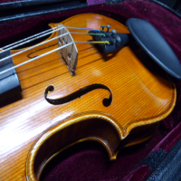 <p>Violin made completely from solid European tonewoods</p><p>Solid European spruce top</p><p>Back and sides made of solid European maple</p><p>Fingerboard: Ebony</p><p>Ebony pegs</p><p>Fitted with Thomastik-Infeld Dominant strings.</p><p>Ebony chin rest</p><p>Inlaid purfling</p><p><br /></p>
