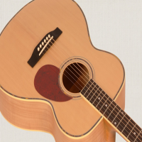 Grand Auditorium Acoustic Guitar with solid Canadian Sitka Spruce top, quilted Maple back, sides and neck, Rosewood fingerboard. Gold hardware and gloss natural finish.